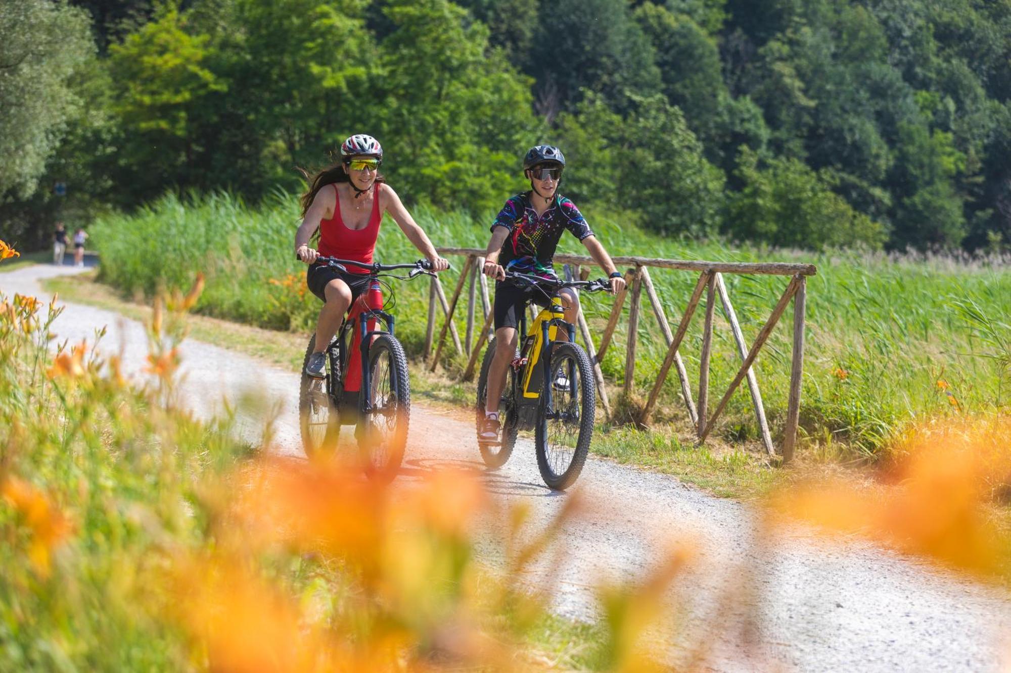 I Laghee Casette Breva E Tivano -Garden-Parking-Lake View - Bike Friendly Holiday House コーリコ エクステリア 写真